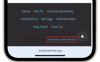 Chargez la version non-amplifiée de la page Web pour résoudre le problème des vidéos non lues par Safari.